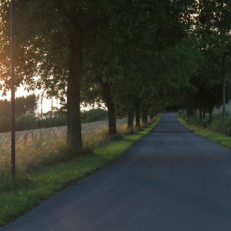 Fewo Harling - Waldsamkeit Bad Iburg Esterno foto