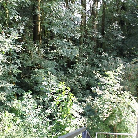 Fewo Harling - Waldsamkeit Bad Iburg Esterno foto