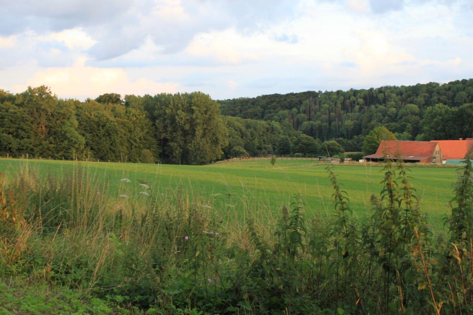 Fewo Harling - Waldsamkeit Bad Iburg Esterno foto