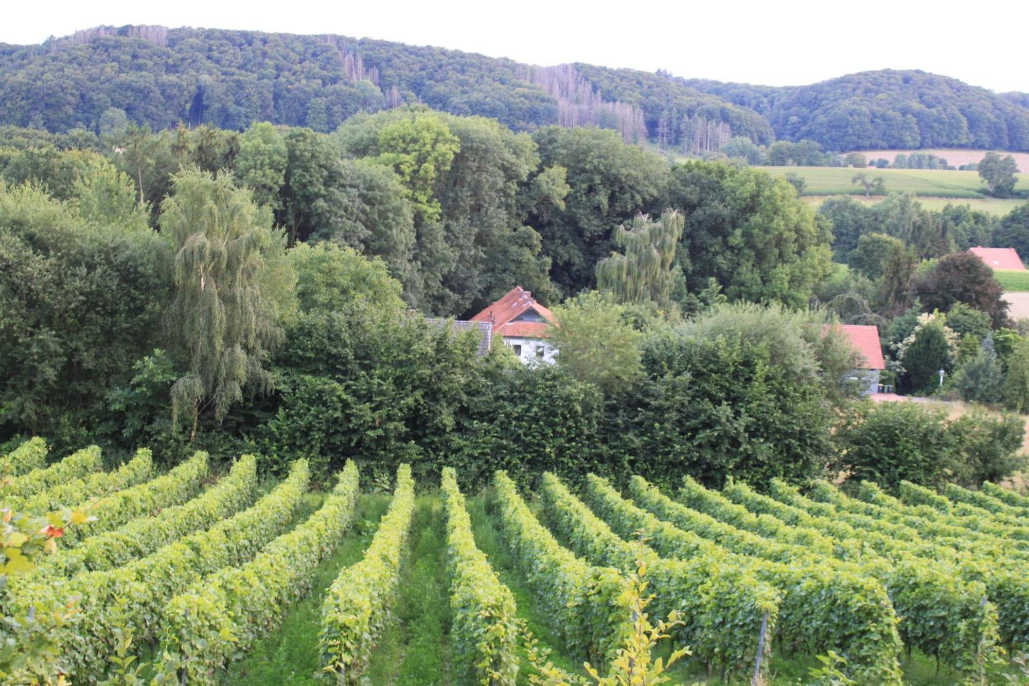 Fewo Harling - Waldsamkeit Bad Iburg Esterno foto