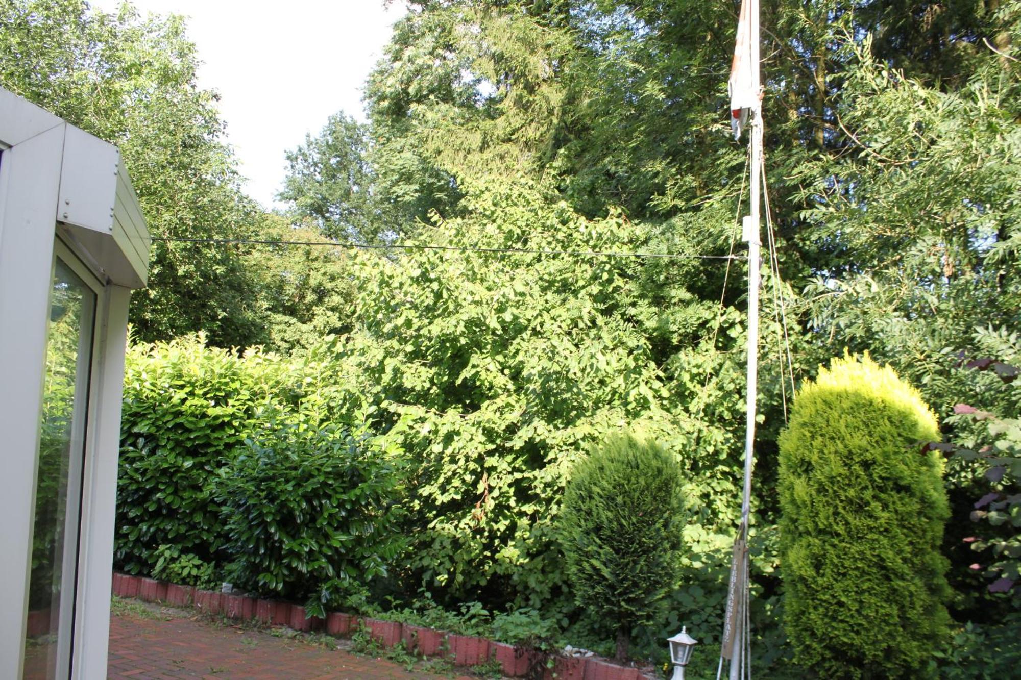 Fewo Harling - Waldsamkeit Bad Iburg Esterno foto