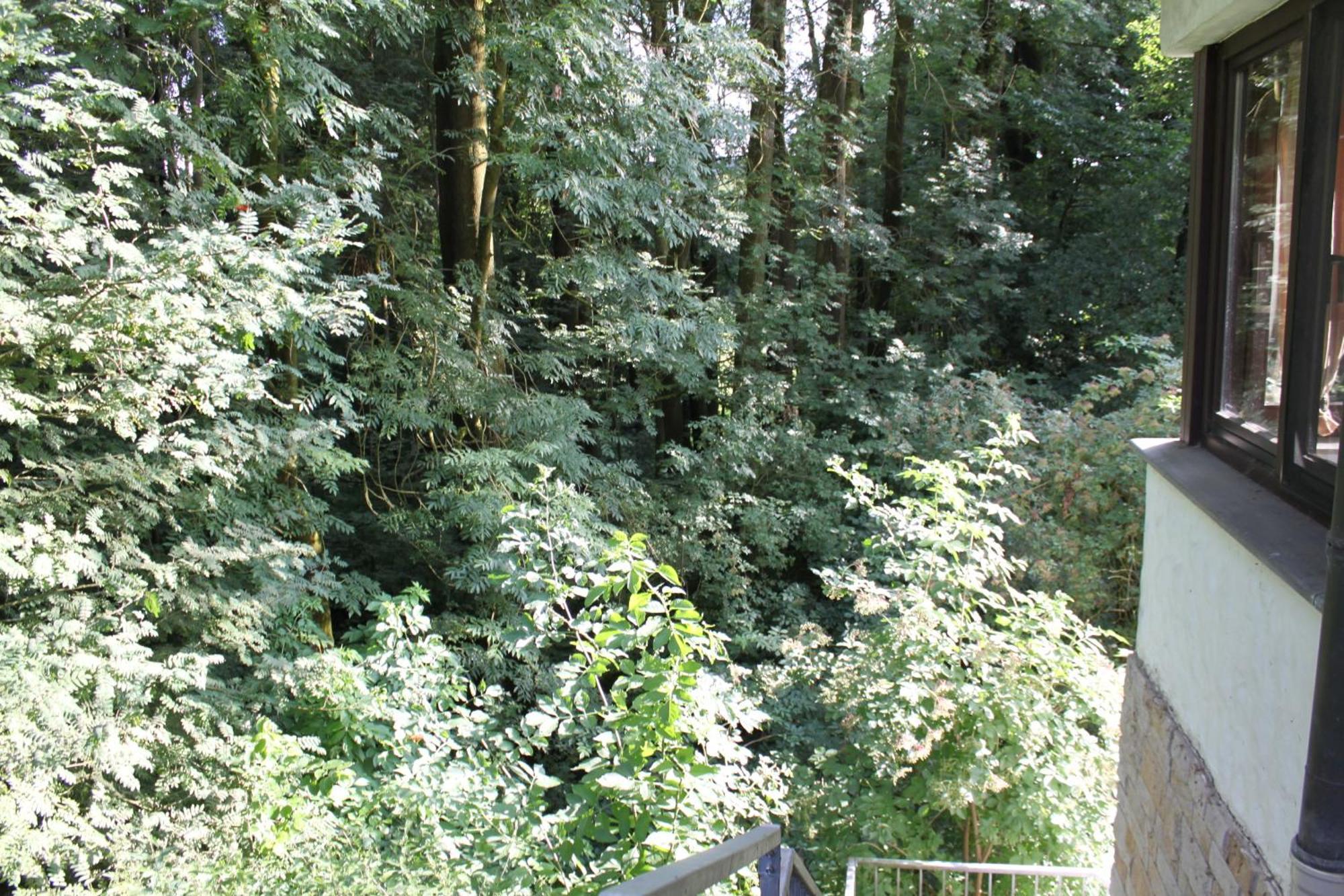 Fewo Harling - Waldsamkeit Bad Iburg Esterno foto